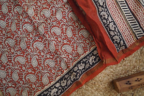Minimal Beige  Saree 2